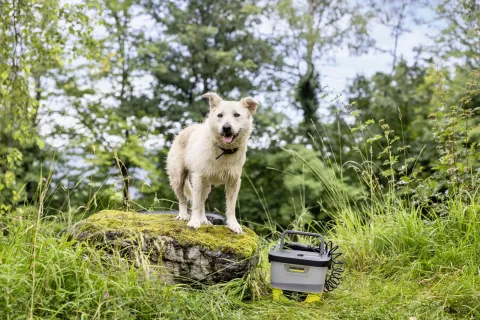 K&auml;rcher Mobil k&uuml;lt&eacute;ri tiszt&iacute;t&oacute; OC 4 + Pet Kit