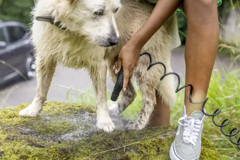 K&auml;rcher Mobil k&uuml;lt&eacute;ri tiszt&iacute;t&oacute; OC 4 + Pet Kit