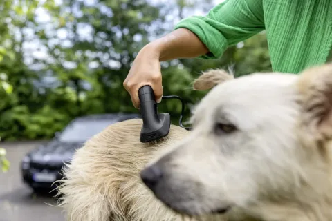 K&auml;rcher Mobil k&uuml;lt&eacute;ri tiszt&iacute;t&oacute; OC 4 + Pet Kit